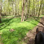 Dorfblick Vom Muckesberg