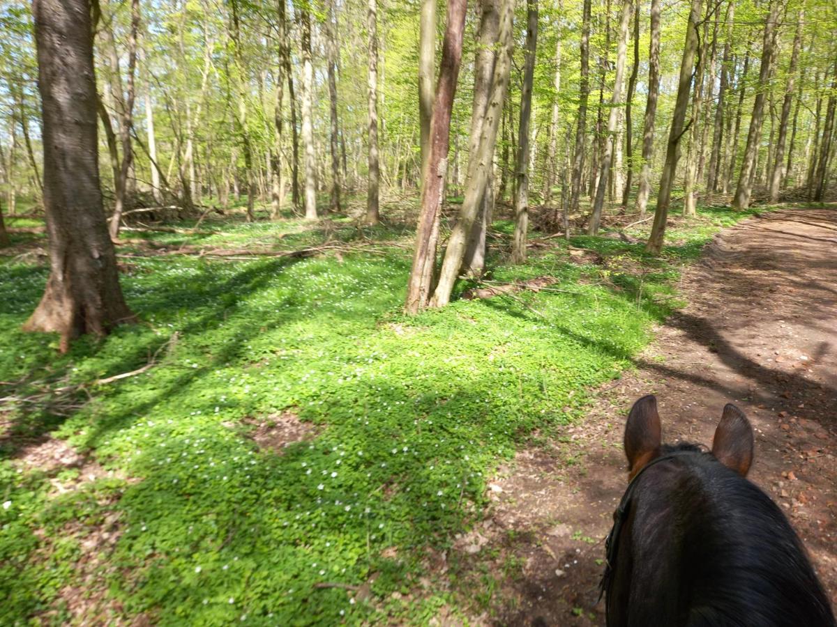 Dorfblick Vom Muckesberg Lübeck